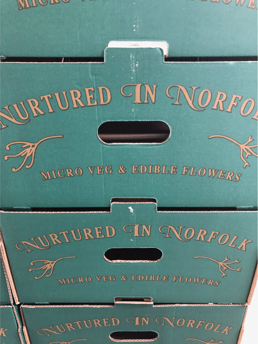 Nurtured In Norfolk